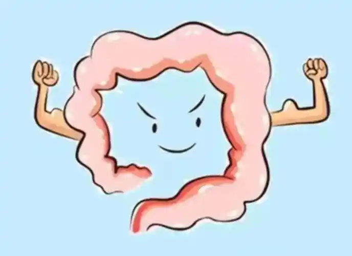 【微科普】肠道健康的隐患——小肠细菌过度生_衡水国承中西医结合