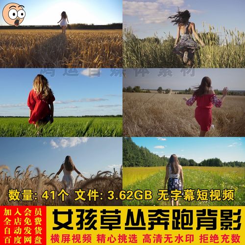 唯美夕阳黄昏女孩草丛稻田奔跑背影特写镜头视频情感励志剪辑素材