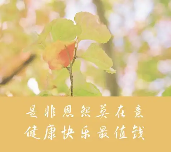 人啊,健康就是一切,没有健康,你就一无所有(写得真好)