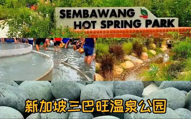 新加坡三巴旺温泉公园sembawanghotspringparksingapore