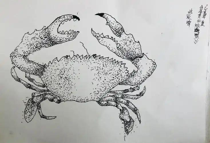 《螃蟹》课堂作品展