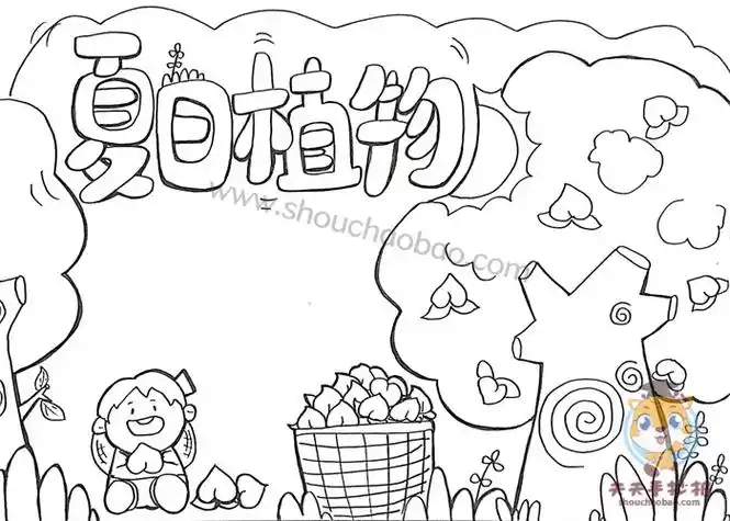 简单好看的夏日植物手抄报教程,夏日植物手抄报怎么画