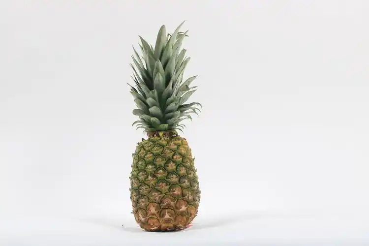 tropical fruits,pineapple,fruit,white background,fo