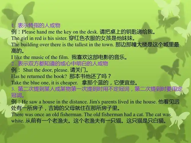 定冠词the的用法ppt