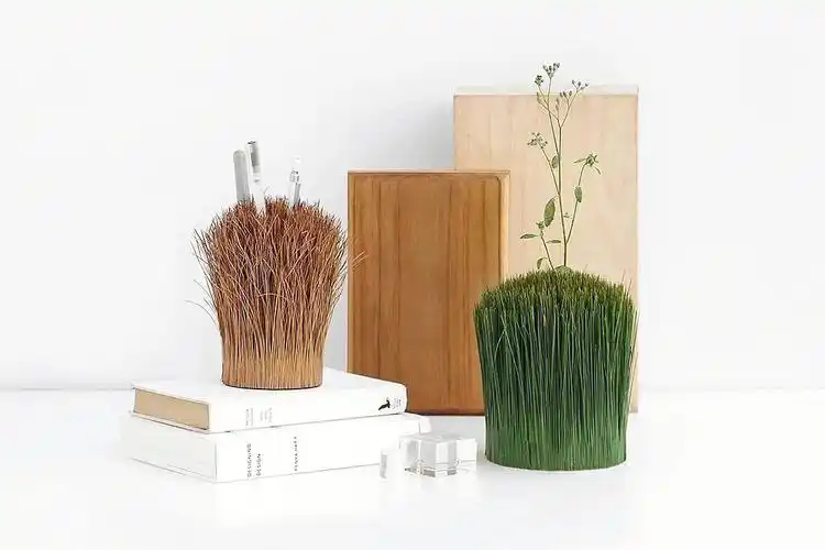 会慢慢退去绿色#笔筒  #产品设计  #创意设计  #工业设计考研  #环保