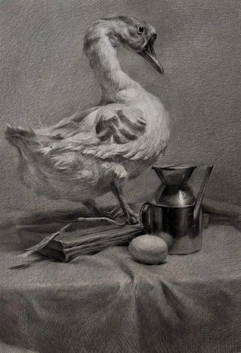 素描鸭子静物组合一副步骤图 - 抖音