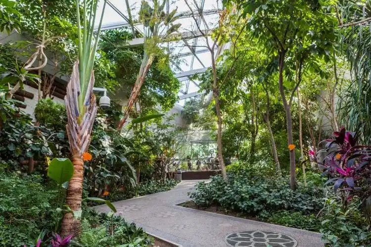 2023西安世博园自然馆游玩攻略,.还挺有意思,二楼的沙生植.