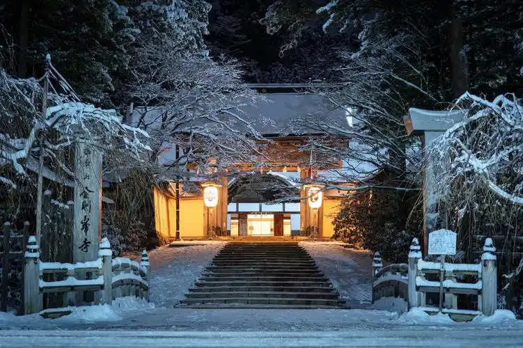 (photograph by wasabitool)__财经头条