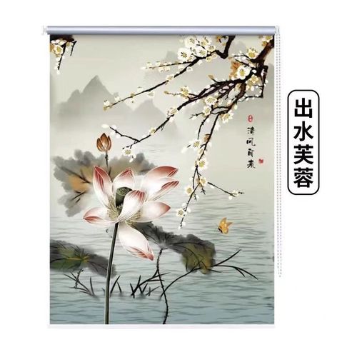 卫生间专用窗帘窗帘免打孔安装简易新款手拉式卷拉式半遮光卷帘