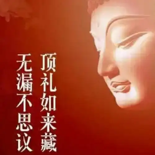 大光明藏中谁非谁[超话]#[cp] 终于搞清. 来自朔州当果 - 微博