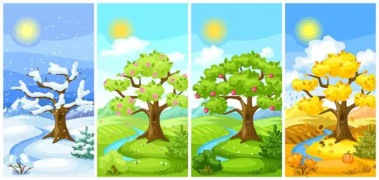 四季树木景观图片素材