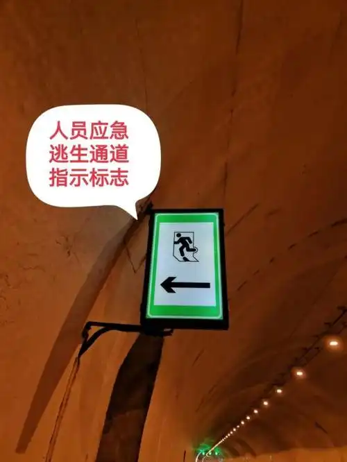 隧道内一车辆自燃漳州高速交警展开生死救援平安春运交警同行