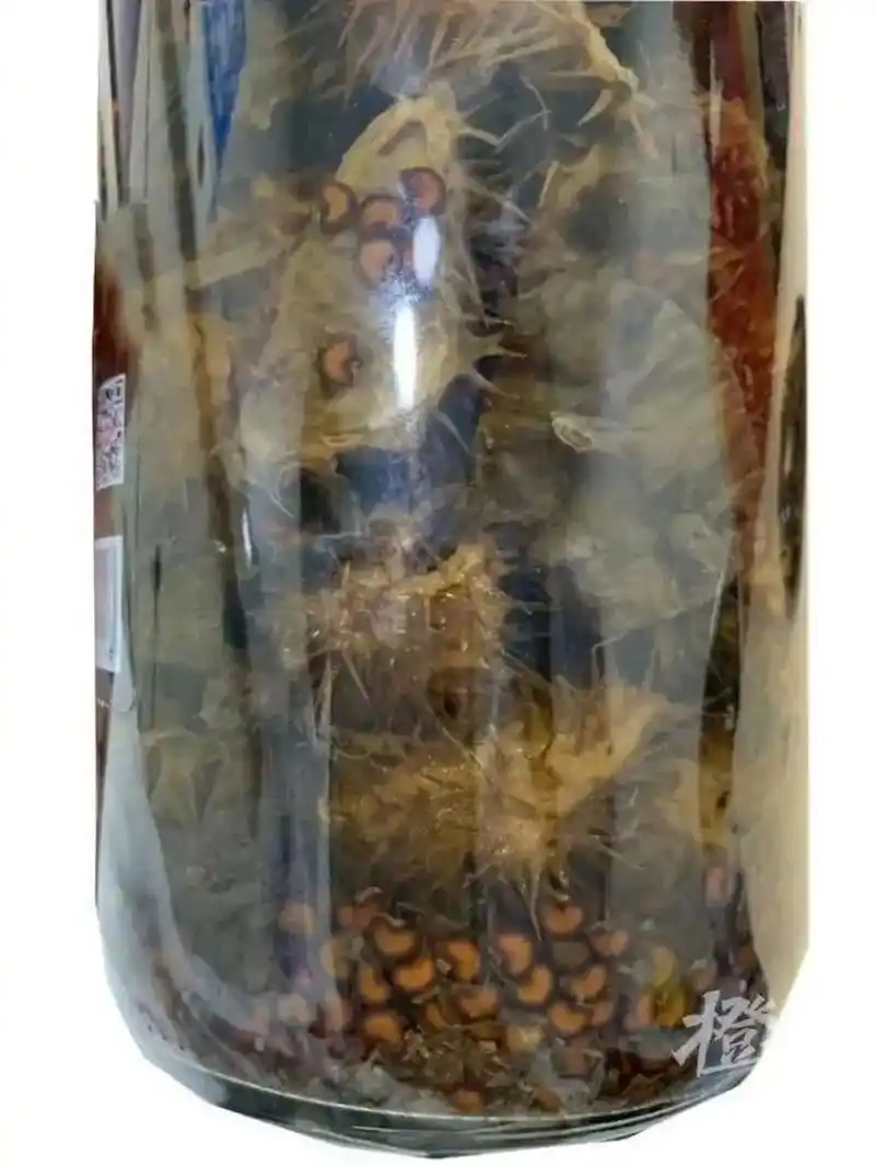 【#男子误饮外用药酒致曼陀罗中毒#:看见去世多年的"太奶奶"在和他招