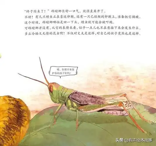 法布尔昆虫记科普绘本疯狂的剪刀手螳螂