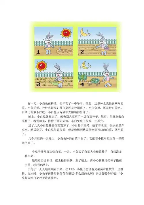 看图写话小白兔种白菜图文范文多篇
