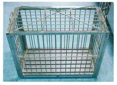 (2)因为运输笼通常比猪笼舍小,所以猪不愿自动走进运输笼,向运输笼内