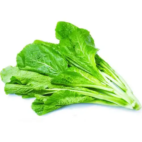 厨房易购自营 芥菜_蔬菜_叶菜类_新鲜蔬菜_蔬菜水果_厨房易购