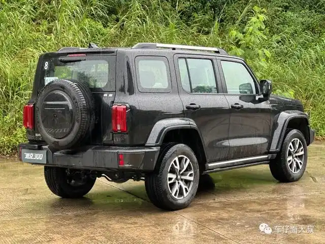 魏派坦克300测试视频