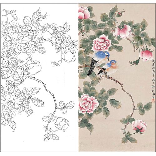tp331工笔画临摹画稿白描底稿国画花鸟画四尺六尺线描素材打印稿