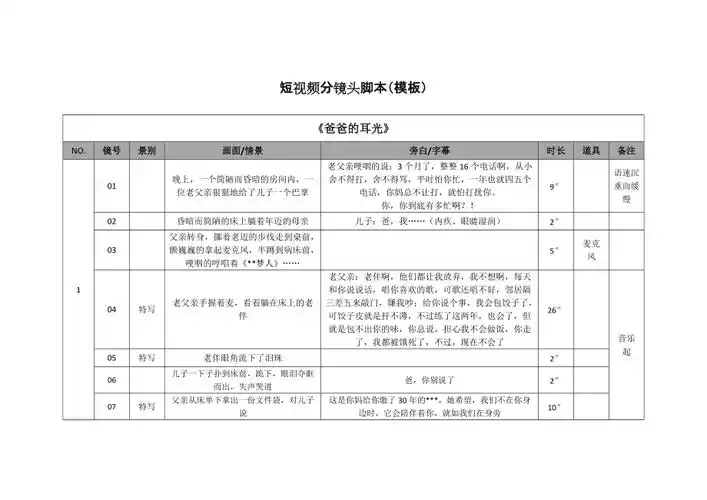 短视频分镜头脚本模板docx