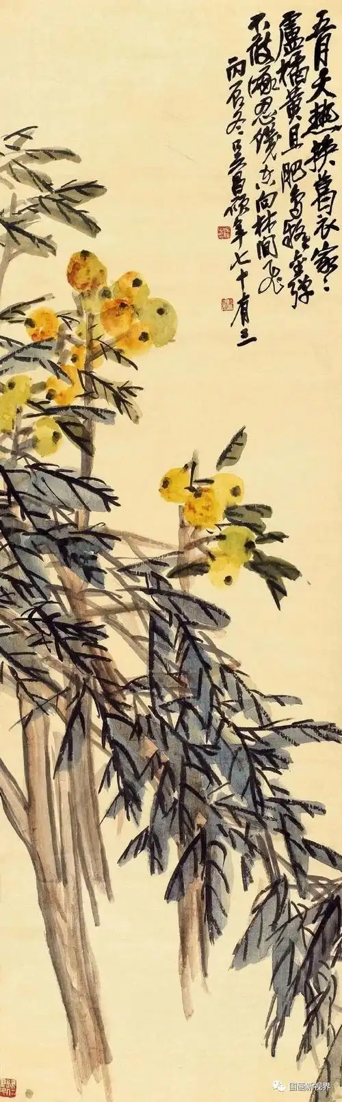 五大名家画枇杷