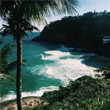 海边风景头像唯美椰子树图片 喜欢就争取得到就珍惜