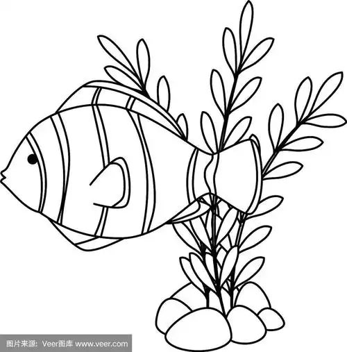 可爱的海草观赏鱼