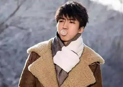 他也参加了不少综艺,2017年,他和董子健,刘昊然,张一山,王大陆作为