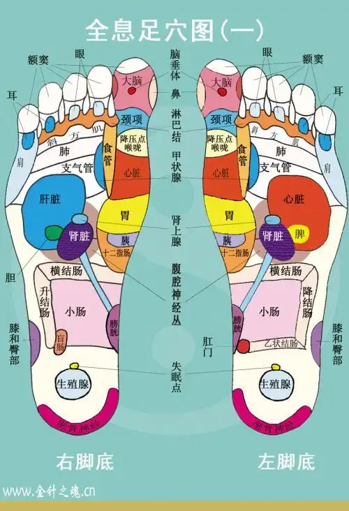 为什么要脚底按摩?