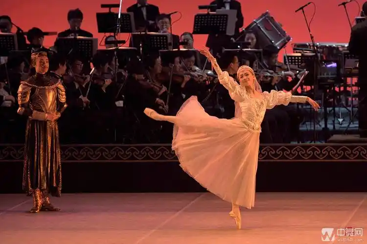 中央芭蕾舞团《圆舞曲之夜——2015新年芭蕾音乐会》【高清剧照】