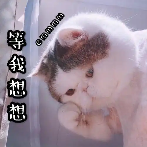 萌宠猫星人等我想想思考搞怪呆萌gif动图_动态图_表情包下载_soogif