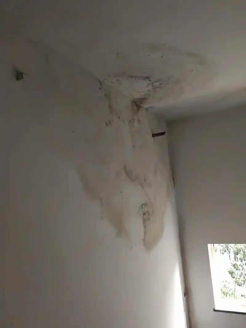 顶楼的房子漏水怎么办 顶楼可不可以买房屋漏水的保险