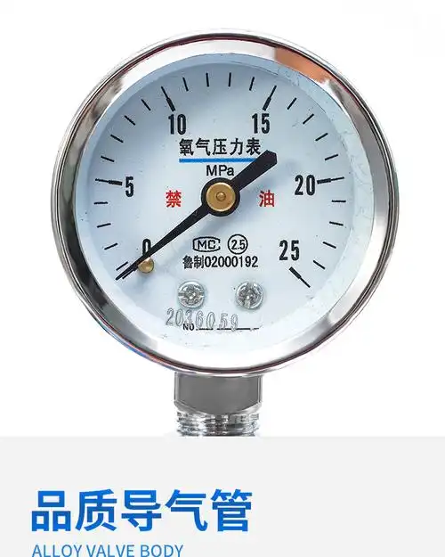 定制适用氧气吸入器流量表氧吸浮标式压力表减压阀带湿化瓶氧气吸入器