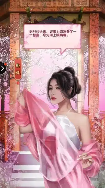 官居一品手游佳人宠幸图大全