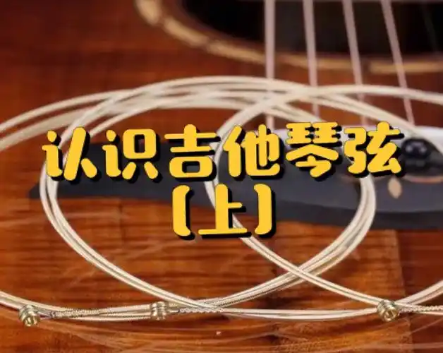 认识吉他琴弦上初学进阶吉他理论