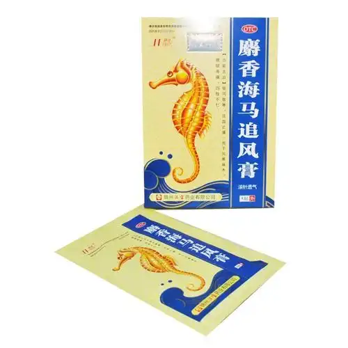 锦塔 麝香海马追风膏 7cm*10cm*4贴 驱风散寒活血止痛 【标准装】1盒