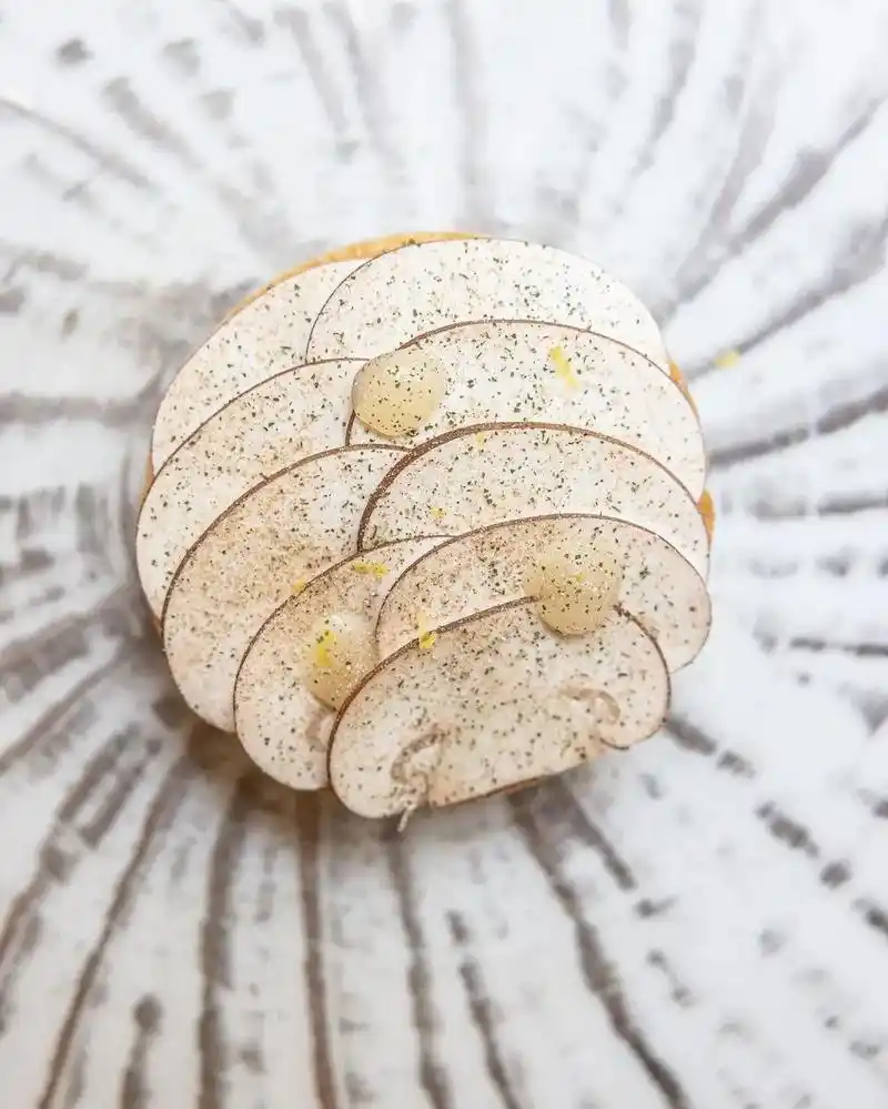 foie gras et champignon ! 鹅肝搭配 - 抖音