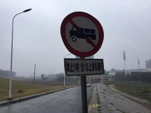 新标志来了,货车司机看到它,能不能通行