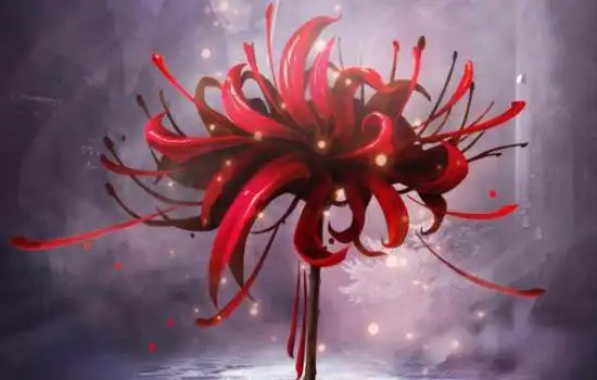 花藤缠绕字体红色彼岸花符号