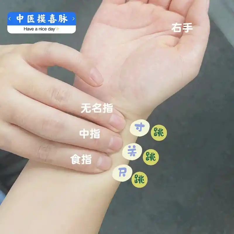 中医摸喜脉,有手就会,不再焦虑,胎心仪再见 孕期很焦虑,天天恨不得