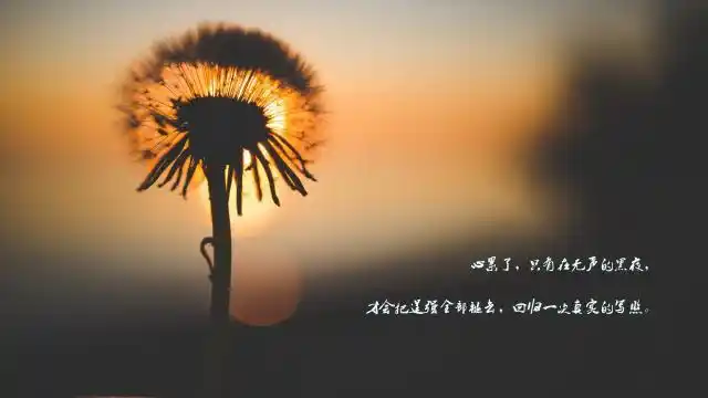 一个人心累了伤感带字图片