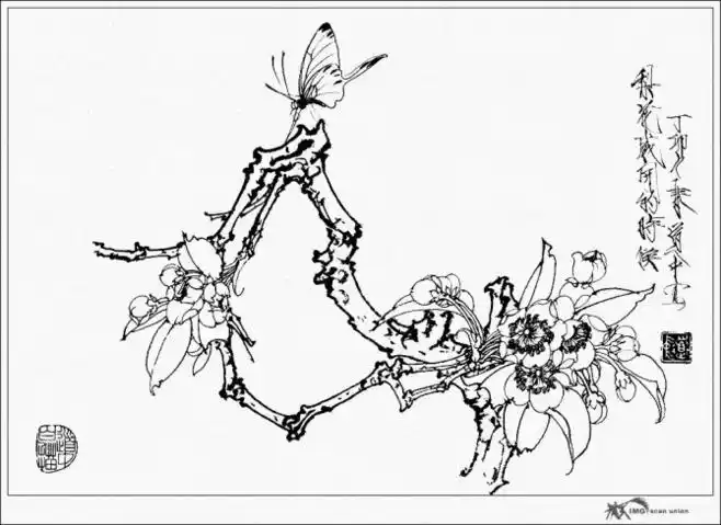 王道中王道中工笔花卉白描