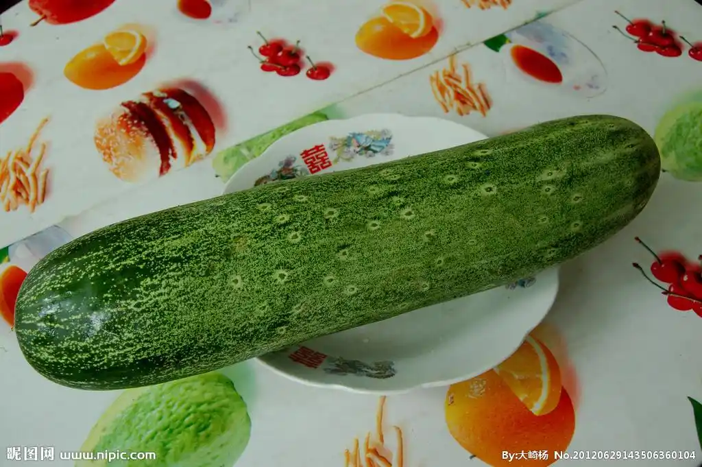 黄瓜图片