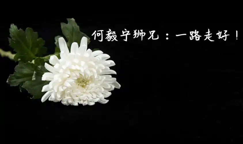 何毅宁狮兄,一路走好! 愿天堂里没有病痛!愿天堂里幸福快乐与你相伴!