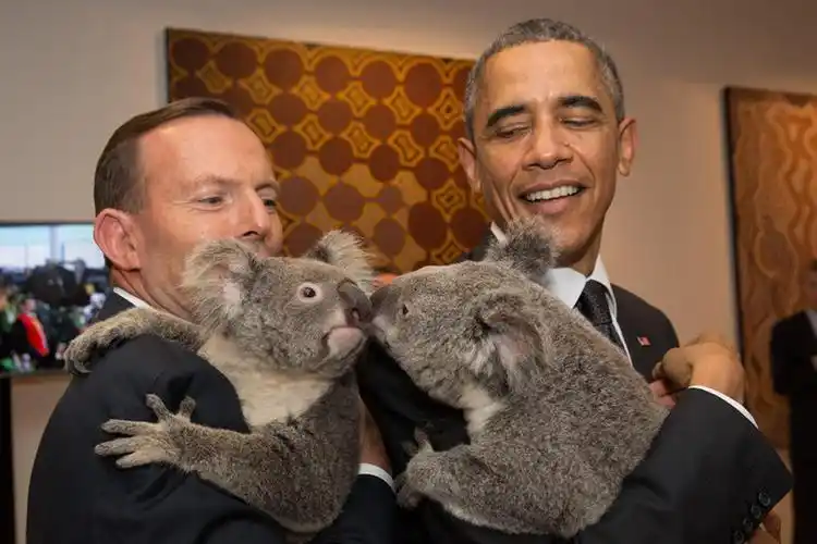 英国首相卡梅伦