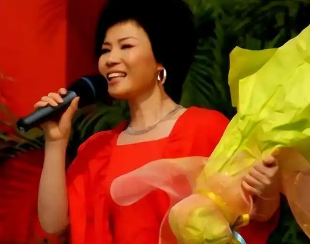 "电视剧歌后"叶凡:演唱会现场病情复发,高烧到去世仅384小时