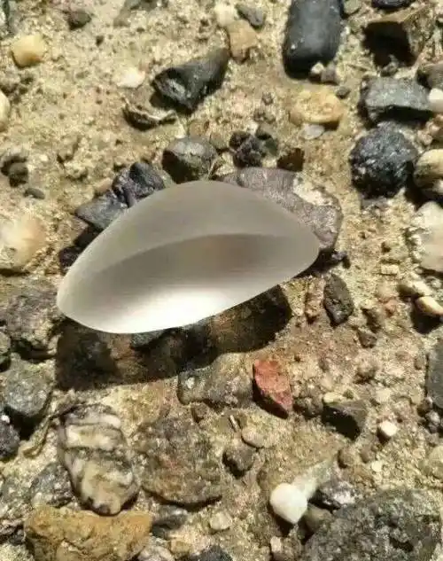 新疆阿勒泰北屯杜热地区戈壁滩寻宝金丝玉宝石光