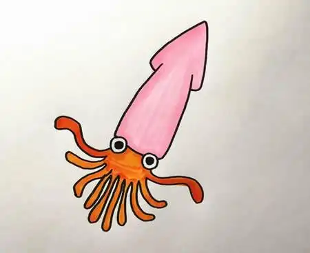 乌贼怎么画简笔画