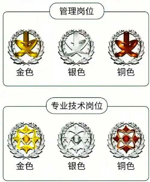 文职人员的制服标志还有很多细节没有讲,例如采用了新胸标,新的姓名牌