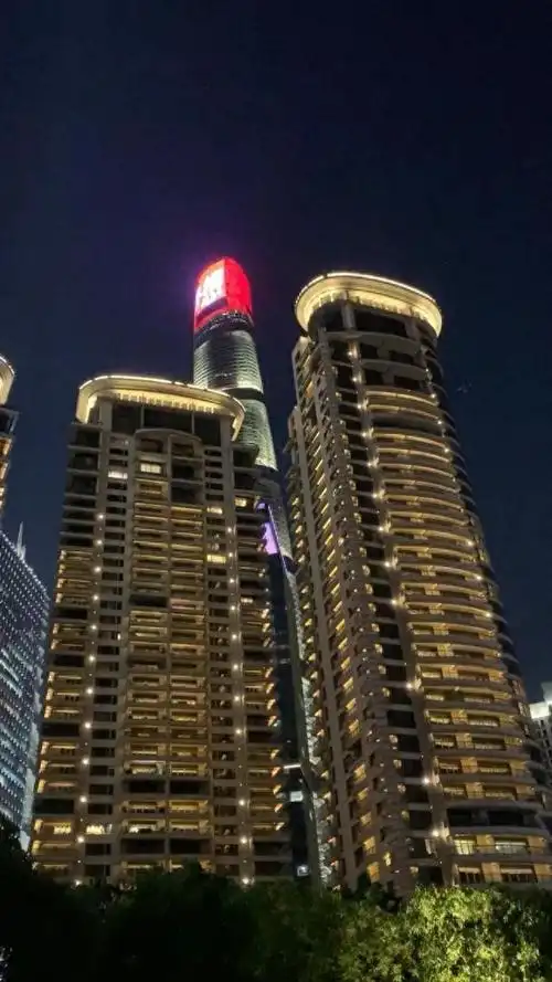 惊上海海景房千万折价拍卖机会只有一天